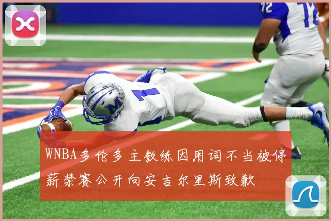 WNBA多伦多主教练因用词不当被停薪禁赛公开向安吉尔里斯致歉